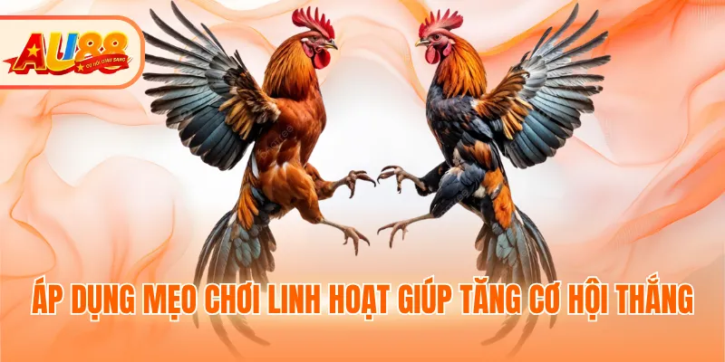 Áp dụng mẹo chơi linh hoạt giúp tăng cơ hội thắng