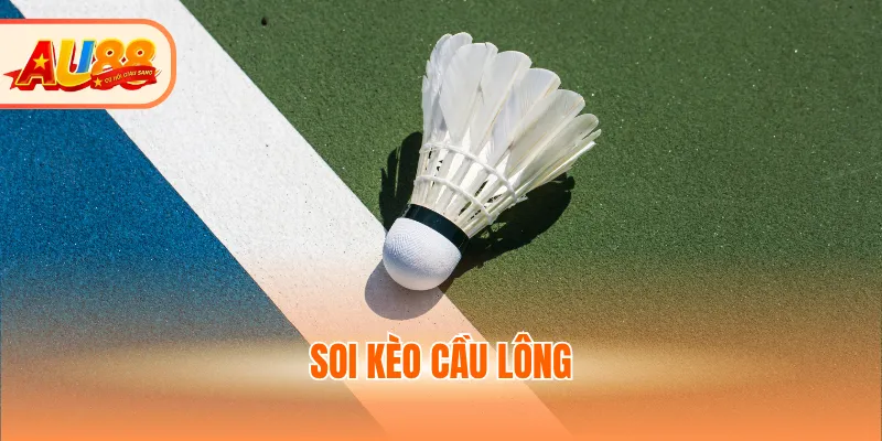 Soi kèo cầu lông